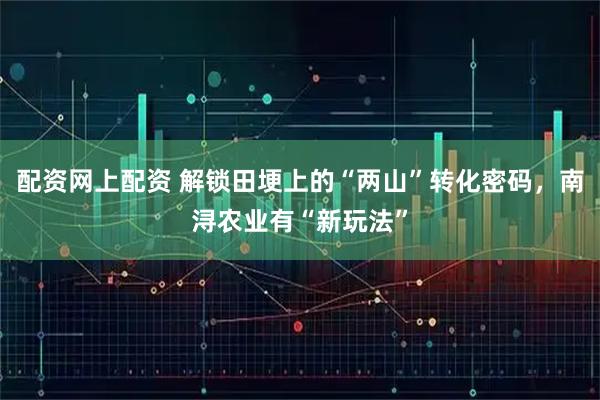 配资网上配资 解锁田埂上的“两山”转化密码，南浔农业有“新玩法”